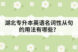 湖北專升本英語(yǔ)名詞性從句的用法有哪些？