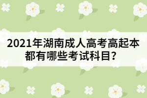 2021年湖南成人高考高起本都有哪些考試科目？