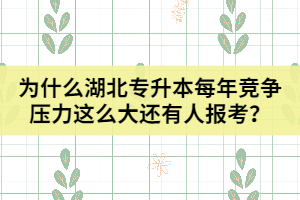 為什么湖北普通專升本每年競爭壓力這么大還有人報考？