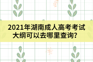 2021年湖南成人高考考試大綱可以去哪里查詢？