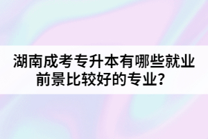 湖南成考專升本有哪些就業(yè)前景比較好的專業(yè)？