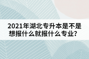 2021年湖北專升本是不是想報什么就報什么專業(yè)？