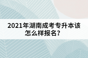 2021年湖南成考專升本該怎么樣報名？