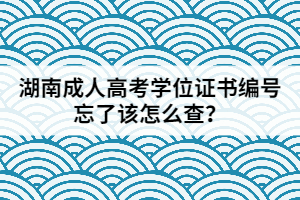 湖南成人高考學(xué)位證書編號(hào)忘了該怎么查？