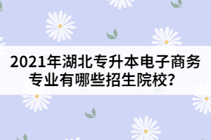 2021年湖北專升本電子商務(wù)專業(yè)有哪些招生院校？