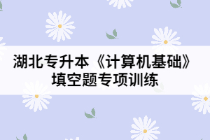 湖北專升本《計算機(jī)基礎(chǔ)》填空題專項訓(xùn)練（一）