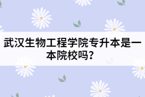 武漢生物工程學院專升本是一本院校嗎？