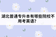 湖北普通專升本有哪些院校不用考英語(yǔ)？