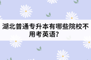 湖北普通專升本有哪些院校不用考英語？