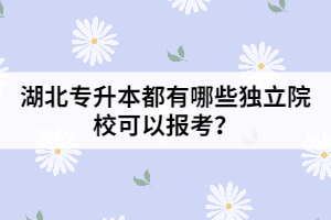 湖北專升本都有哪些獨立院?？梢詧罂?？