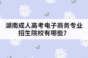 湖南成人高考電子商務(wù)專業(yè)招生院校有哪些？