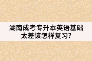 湖南成考專升本英語(yǔ)基礎(chǔ)太差該怎樣復(fù)習(xí)?