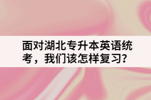 面對(duì)湖北專升本英語統(tǒng)考，我們?cè)撛鯓訌?fù)習(xí)？