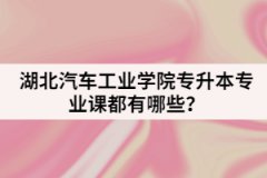 湖北汽車工業(yè)學(xué)院專升本專業(yè)課都有哪些？