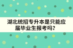 湖北統(tǒng)招專(zhuān)升本是只能應(yīng)屆畢業(yè)生報(bào)考嗎？