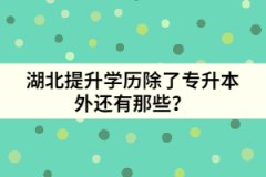 湖北提升學(xué)歷除了專升本外還有那些？
