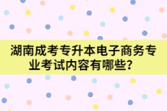 湖南成考專升本電子商務(wù)專業(yè)考試內(nèi)容有哪些？