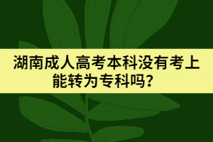 湖南成人高考本科沒有考上能轉(zhuǎn)為?？茊?？