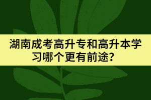 湖南成考高升專和高升本學(xué)習(xí)哪個更有前途？