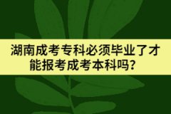 湖南成考?？票仨毊厴I(yè)了才能報(bào)考成考本科嗎？