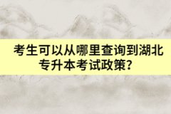 考生可以從哪里查詢到湖北專升本考試政策？