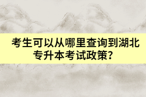 考生可以從哪里查詢到湖北專升本考試政策？