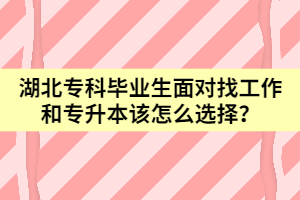 湖北專科畢業(yè)生面對找工作和專升本該怎么選擇？