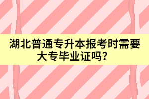 湖北普通專(zhuān)升本報(bào)考時(shí)需要大專(zhuān)畢業(yè)證嗎？