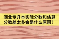 湖北專升本實(shí)際分?jǐn)?shù)和估算分?jǐn)?shù)差太多會(huì)是什么原因？