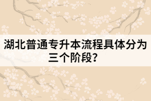 湖北普通專升本流程具體分為三個階段？