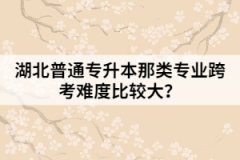 湖北普通專升本那類專業(yè)跨考難度比較大？