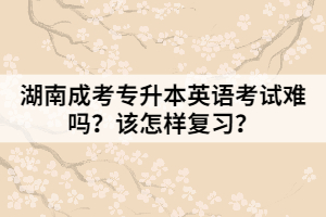 湖南成考專(zhuān)升本英語(yǔ)考試難嗎？該怎樣復(fù)習(xí)？