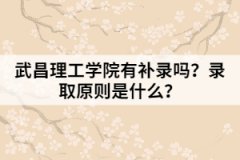 武昌理工學(xué)院有補(bǔ)錄嗎？錄取原則是什么？