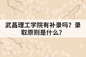 武昌理工學(xué)院有補(bǔ)錄嗎？錄取原則是什么？