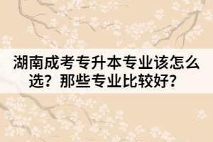 湖南成考專升本專業(yè)該怎么選？那些專業(yè)比較好？