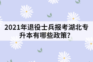 2021年退役士兵報(bào)考湖北專升本有哪些政策？