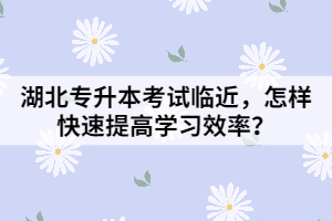 湖北專升本考試臨近，怎樣快速提高學(xué)習(xí)效率？