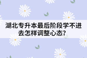 湖北專升本最后階段學不進去怎樣調(diào)整心態(tài)？