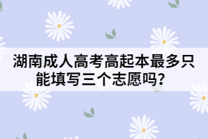 湖南成人高考高起本最多只能填寫三個(gè)志愿嗎？