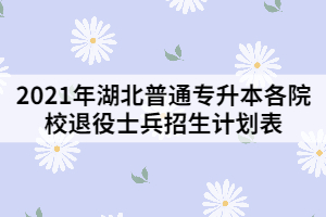 2021年湖北普通專升本各院校退役士兵招生計劃表