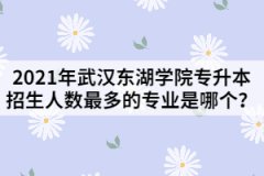 2021年武漢東湖學(xué)院專升本招生人數(shù)最多的專業(yè)是哪個？
