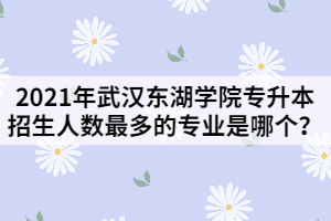 2021年武漢東湖學(xué)院專升本招生人數(shù)最多的專業(yè)是哪個(gè)？
