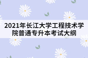 2021年長(zhǎng)江大學(xué)工程技術(shù)學(xué)院專(zhuān)升本《綜合英語(yǔ)》考試大綱