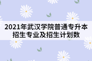 2021年武漢學(xué)院普通專升本招生專業(yè)及招生計劃數(shù)