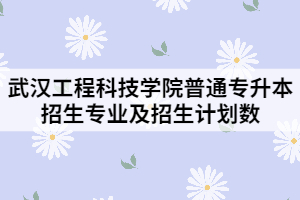 2021年武漢工程科技學(xué)院普通專升本招生專業(yè)及招生計劃數(shù)