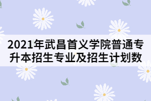 2021年武昌首義學(xué)院普通專升本招生專業(yè)及招生計(jì)劃數(shù)