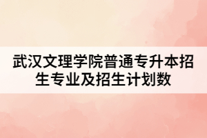 2021年武漢文理學院普通專升本招生專業(yè)及招生計劃數(shù)