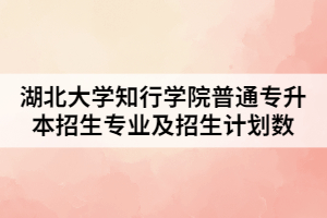 2021年湖北大學知行學院普通專升本招生專業(yè)及招生計劃數