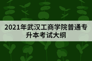 2021年武漢工商學(xué)院普通專升本《計算機科學(xué)與技術(shù)專業(yè)》考試大綱