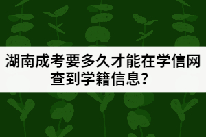 湖南成考要多久才能在學(xué)信網(wǎng)查到學(xué)籍信息？